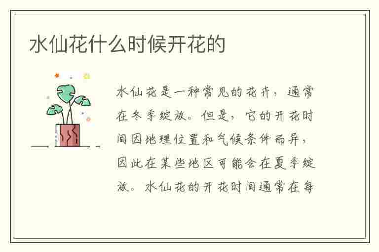 水仙花什么时候开花的(水仙花什么时候开花的,大概几点)